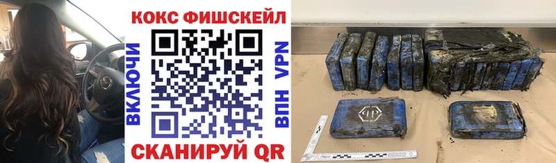 Cocaine FishScale  как найти наркотики  Пучеж 